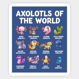 Axolotls of the World Magnet